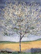 Ferdinand Hodler Cherry tree in bloom oil on canvas